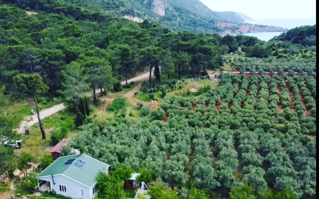 Mürteza Çam Private house