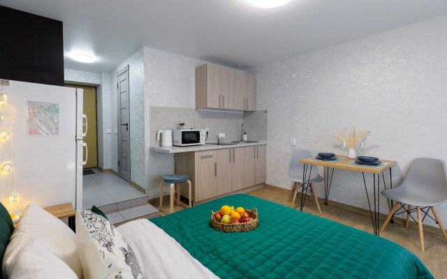 Uyutnaya studiya u Korolevskikh vorot Apartments