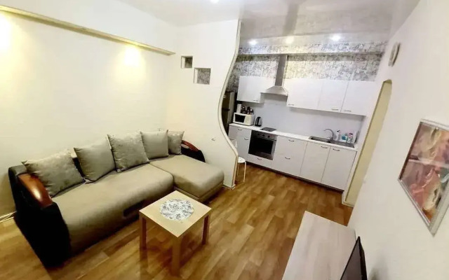 Квартира на Иосифа Каролинского 9