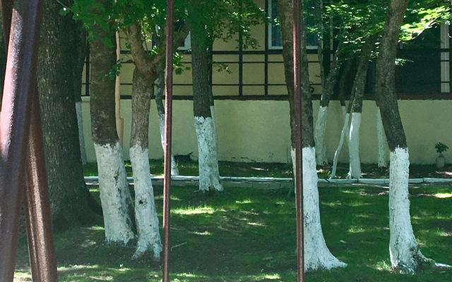 Irina Guest House