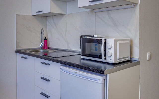 Апартаменты Asaapart Lamiya 3 74A