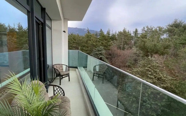 Апартаменты люкс близ холма Дарсан