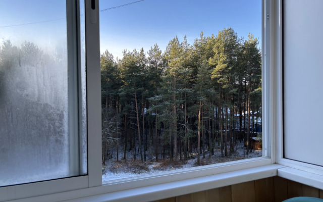 Квартира Уютная студия