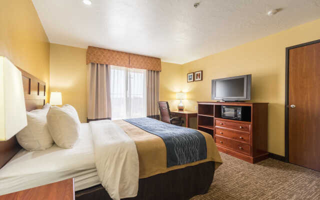 Comfort Inn & Suites Hotel