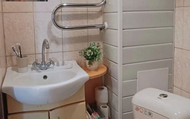 Квартира уютная гостинка на Заре