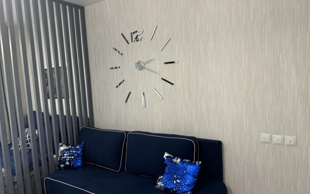 Studiya S Kaminom U Parka Flat