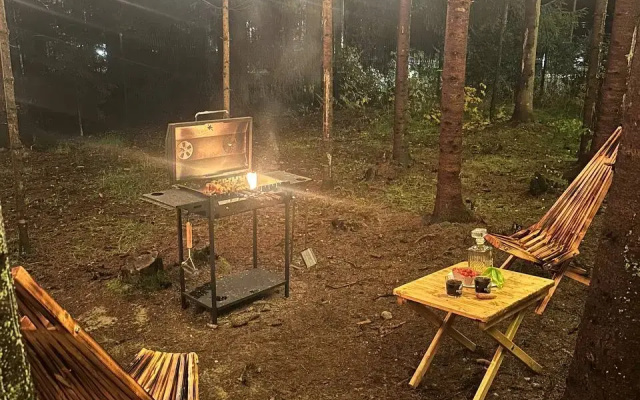 Частный дом ХвойПокой