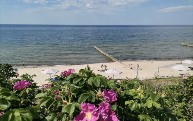 Gostevoy Dom s Dizaynerskim Remontom Guest House