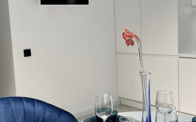 Uyutnaya Kvartira U Morya V Zelenogradske Apartments