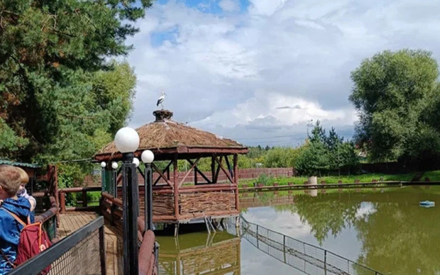 Отель Соколиное Гнездо