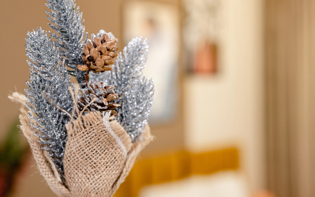 Квартира Студия Советская 62б