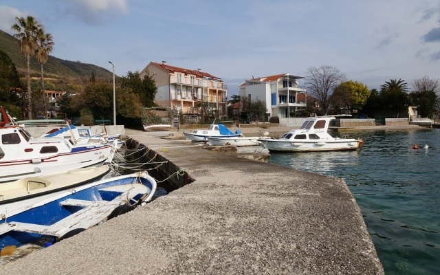 Begonia Apartments