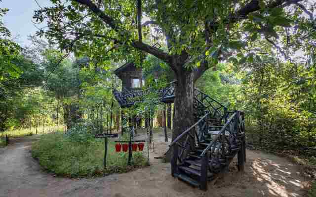 Жилое Помещение Pugdundee Safaris - Tree House Hideway