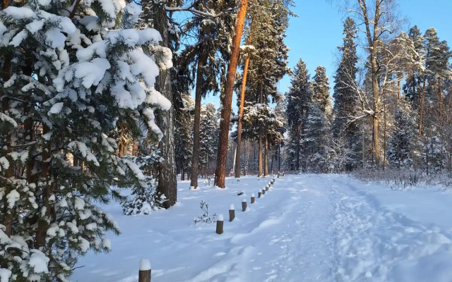 Частный дом в Заветах Ильича с розовой гостиной