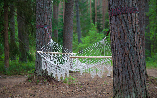 Гостевой дом Seliger soul