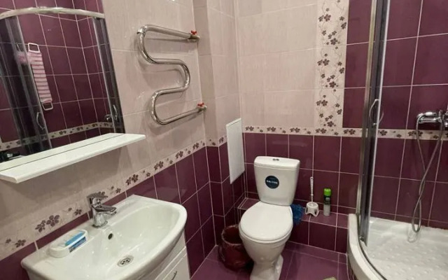 Studiya Na Lermontova 31 Flat