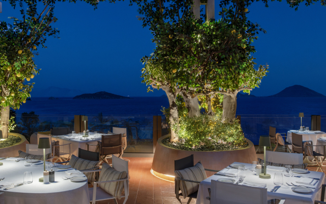 Swissotel Resort Bodrum Beach Hotel