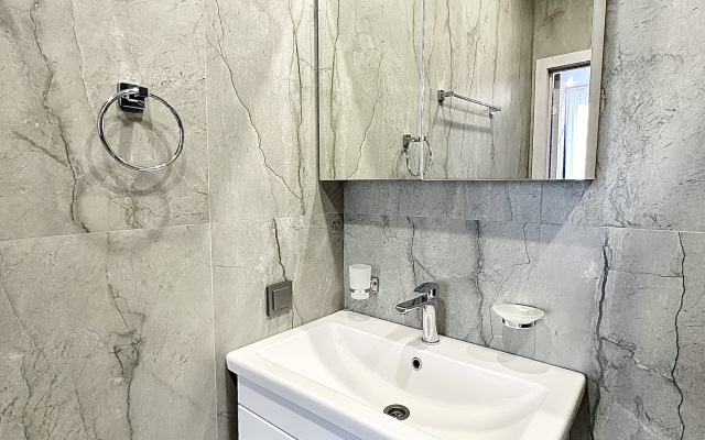 Апартаменты люкс с видом на город