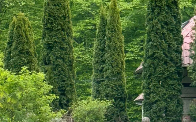 Частный дом Егеря