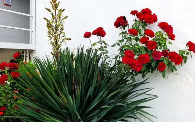 Villa Soho Sochi Russia Guest house