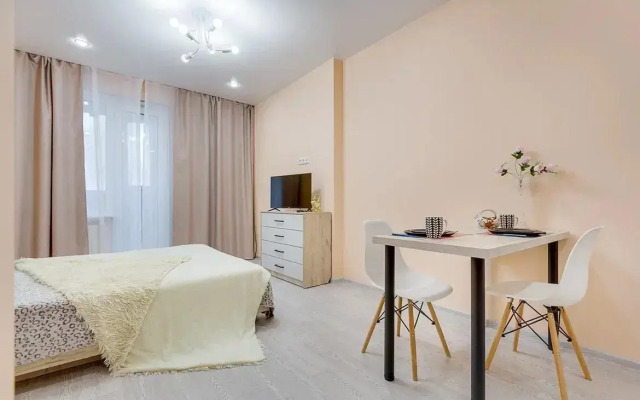 Квартира МишЛен рядом с метро пр.Просвещения