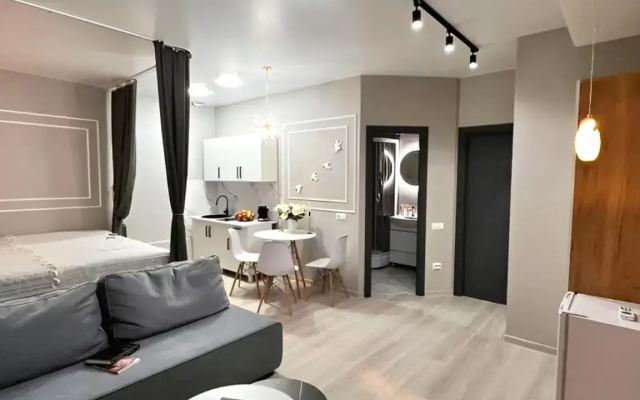 Апартаменты Серая студия