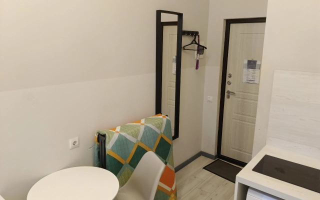 Uyutnaya Studiya V Serdtse Sankt-Peterburga Flat