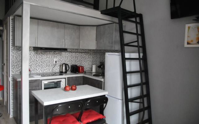 Квартира студия с видом на канал Грибоедова