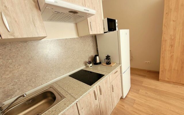 Квартира - студия в иcтoричeскoм цeнтре Санкт-Пeтеpбургa (4)