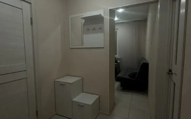 Квартира на Бульваре Гусева 46 5