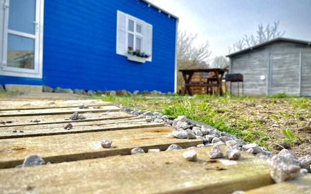 Частый Дом Домик на Куршской Косе 2