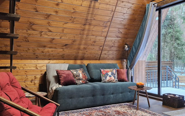 Частный дом темный А-фрейм