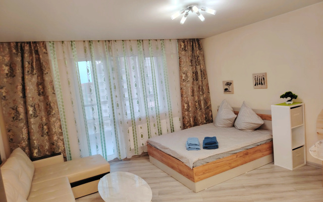 Uyutnaya Studiya V Zhukovskom Flat