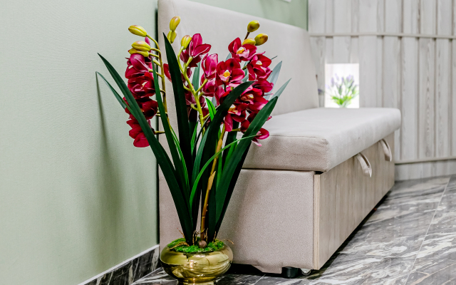 Lider Guest House