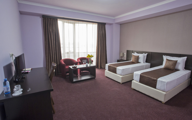 Ani Central Inn