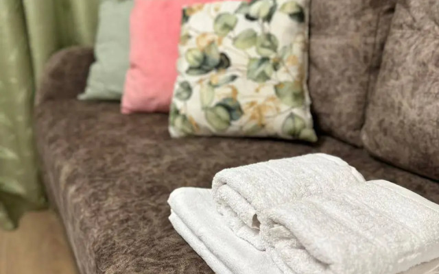 Studiya Okolo Ostrova Mechty I Parka Kolomenskoye Flat