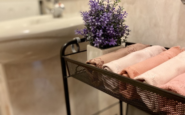 Uyutnye apartamenty v istoricheskom tsentre Gomelya Flat