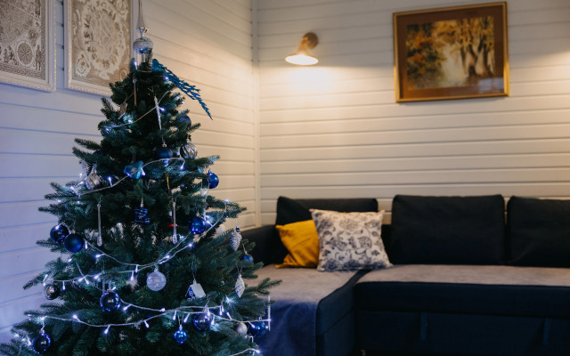 Частный дом Синяя синица