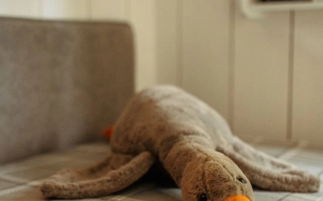 Lesnоу Weekend Guest house
