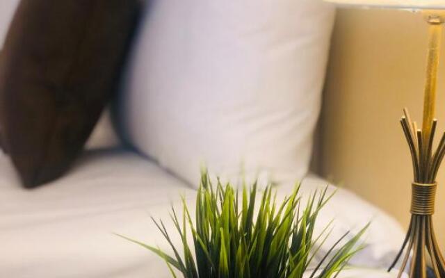 Отель Городская гостиница Апельсин Экспо на Красной Пресне