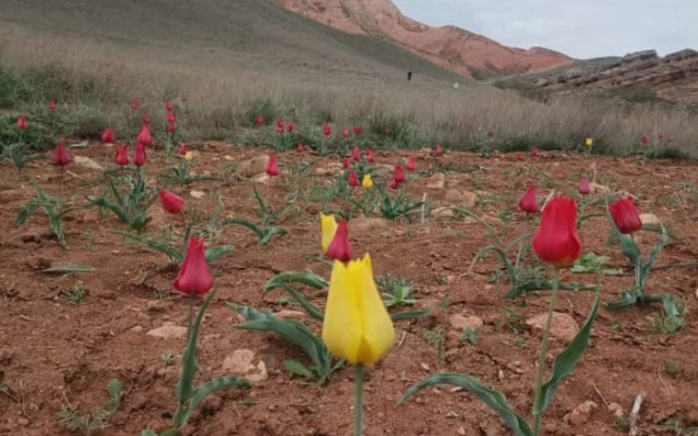 Квартира 2 комнатная на озере Баскунчак