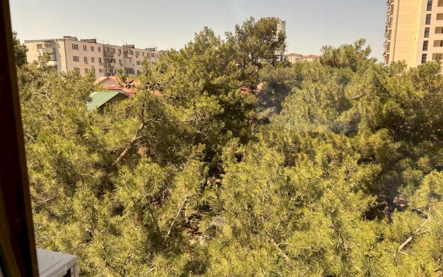 Частный дом 342 Курзальная 13