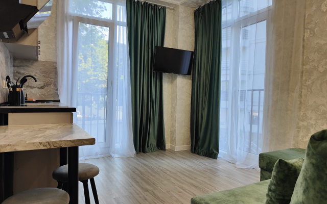 Uyutnaya Studiya S Panoramnymi Oknami Flat