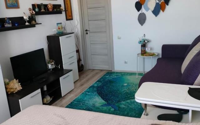 Квартира на Спортивной