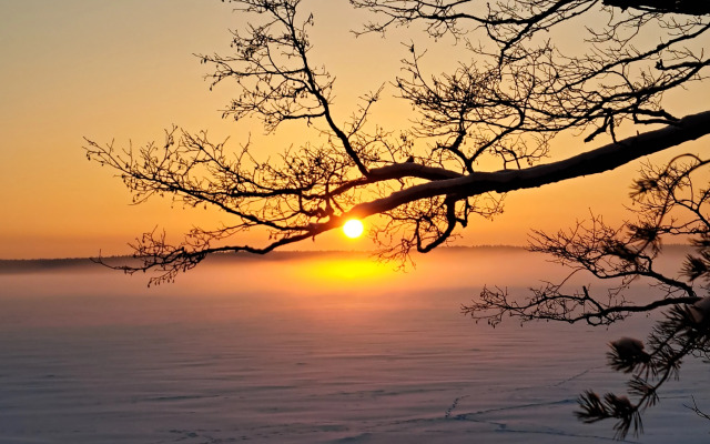 Частный Дом в Карелии Косалма