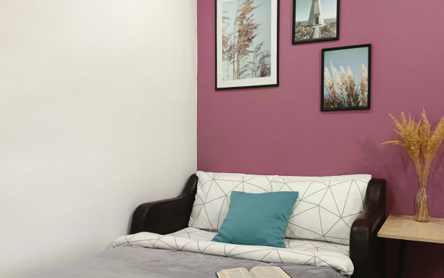 Квартира Студия Violet в Центре