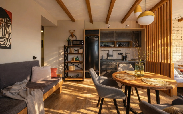 Апартаменты Loft