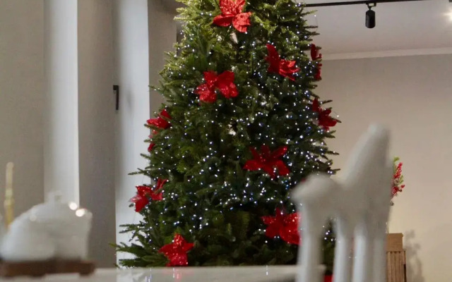 Отель Max Villa Bakuriani