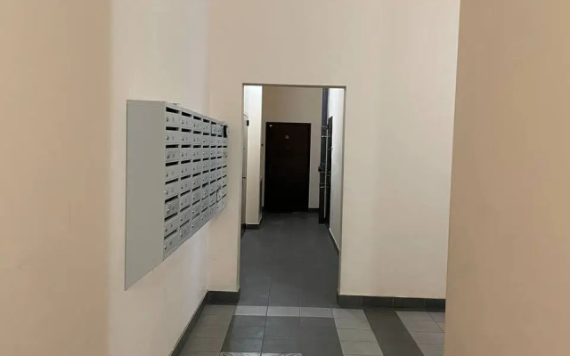 Квартира просторная светлая теплая в центре города