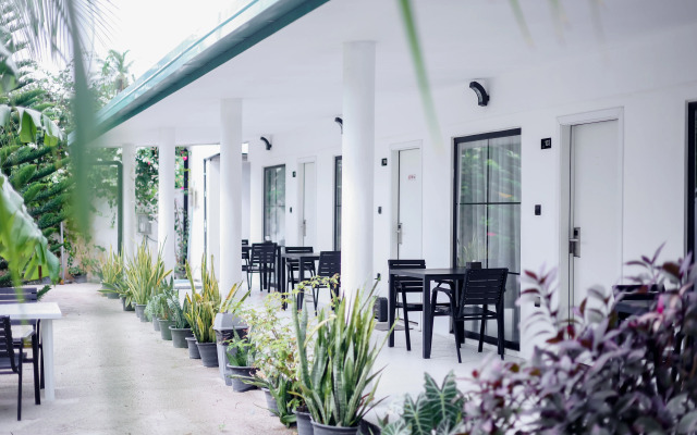 Belvedere Thoddoo Guest House